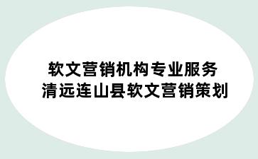 软文营销机构专业服务 清远连山县软文营销策划